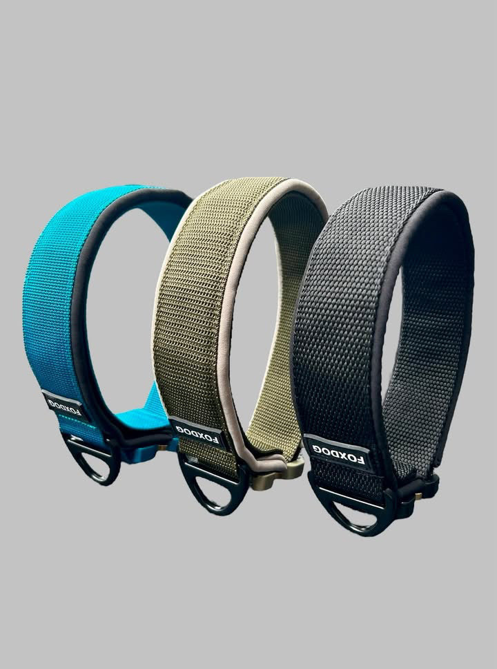 Sporthalsband