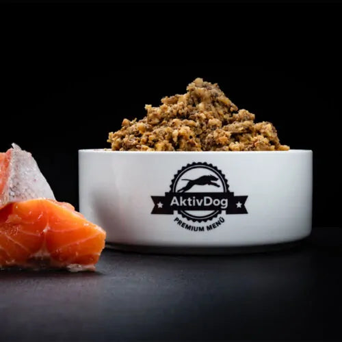 AktivDog Lachs mit Pastinaken