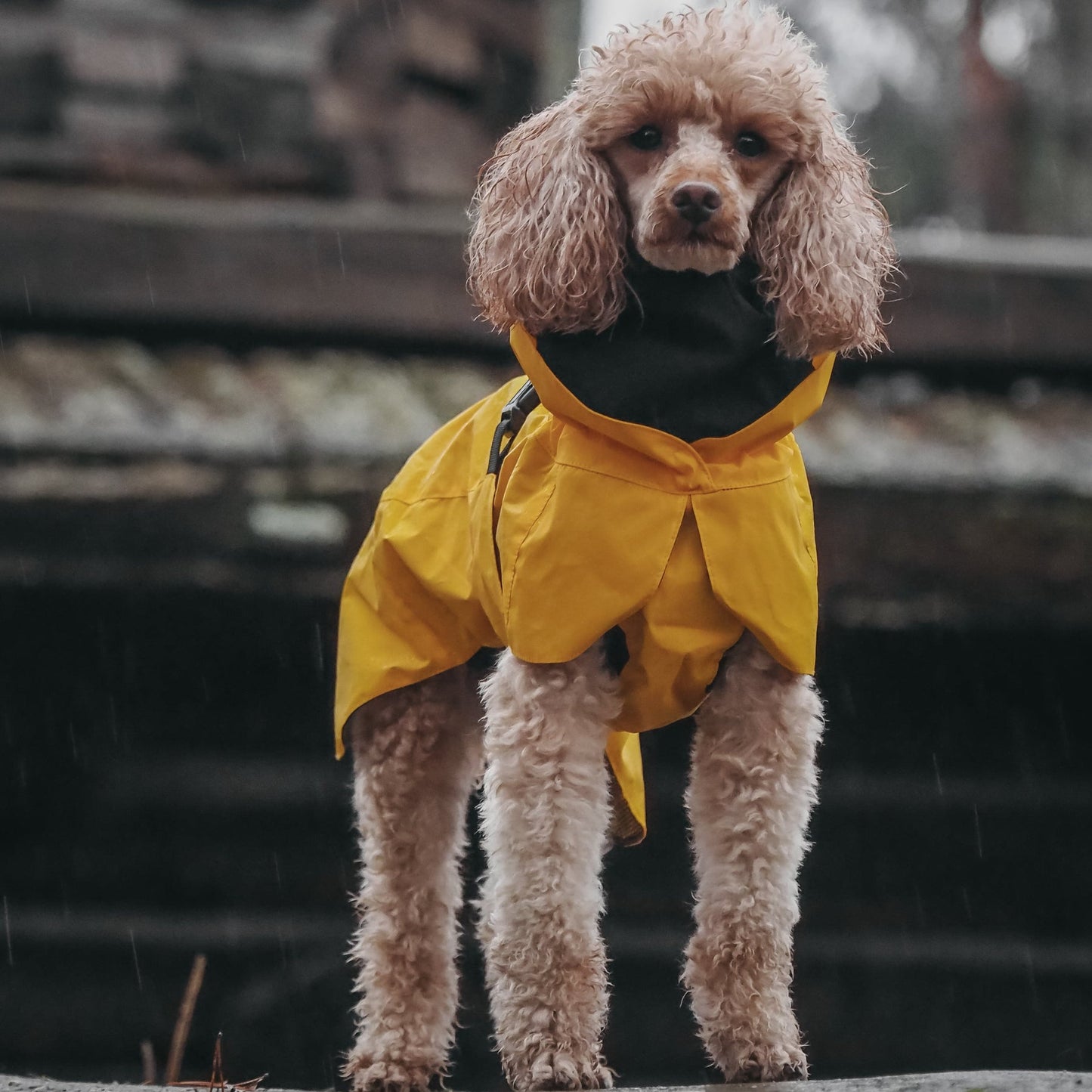 PAIKKA Visibility Raincoat Lite