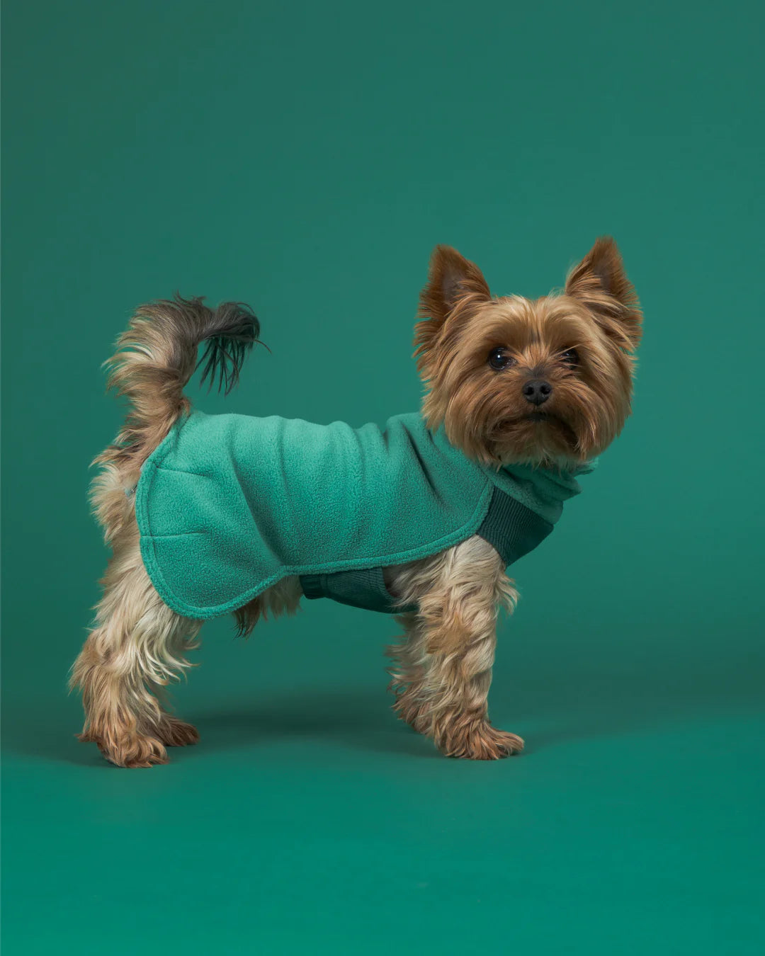 PAIKKA Seawool Shirt