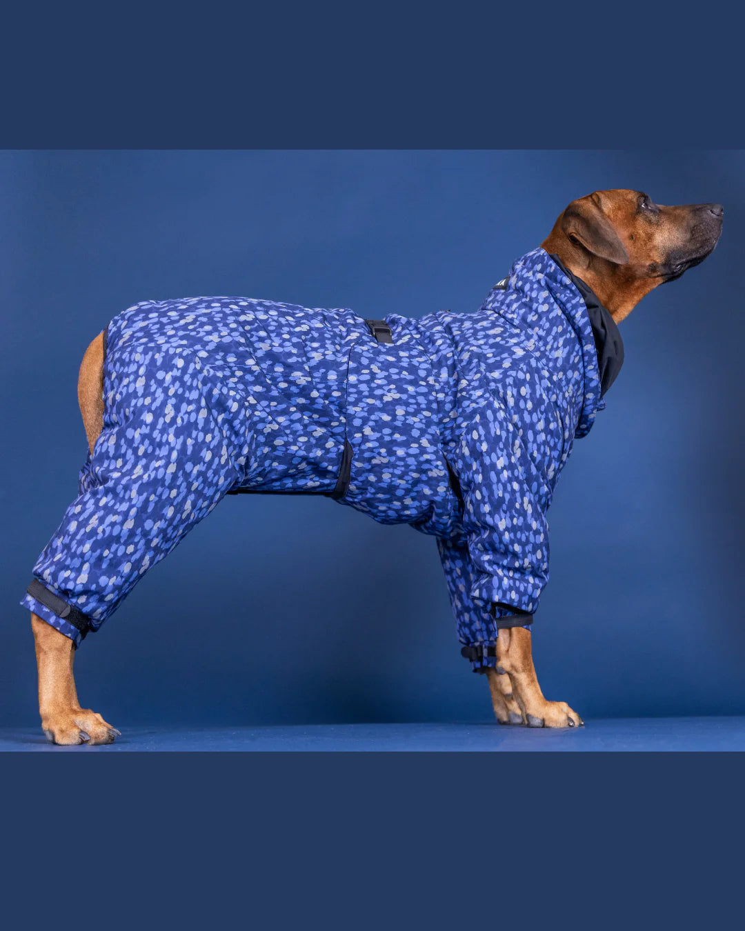 PAIKKA Winter Suit blue