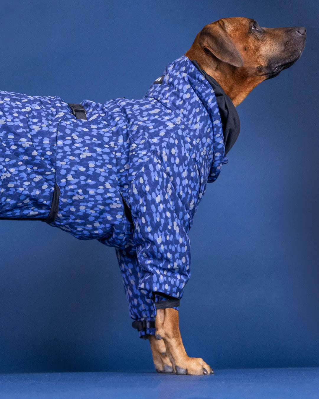 PAIKKA Winter Suit blue