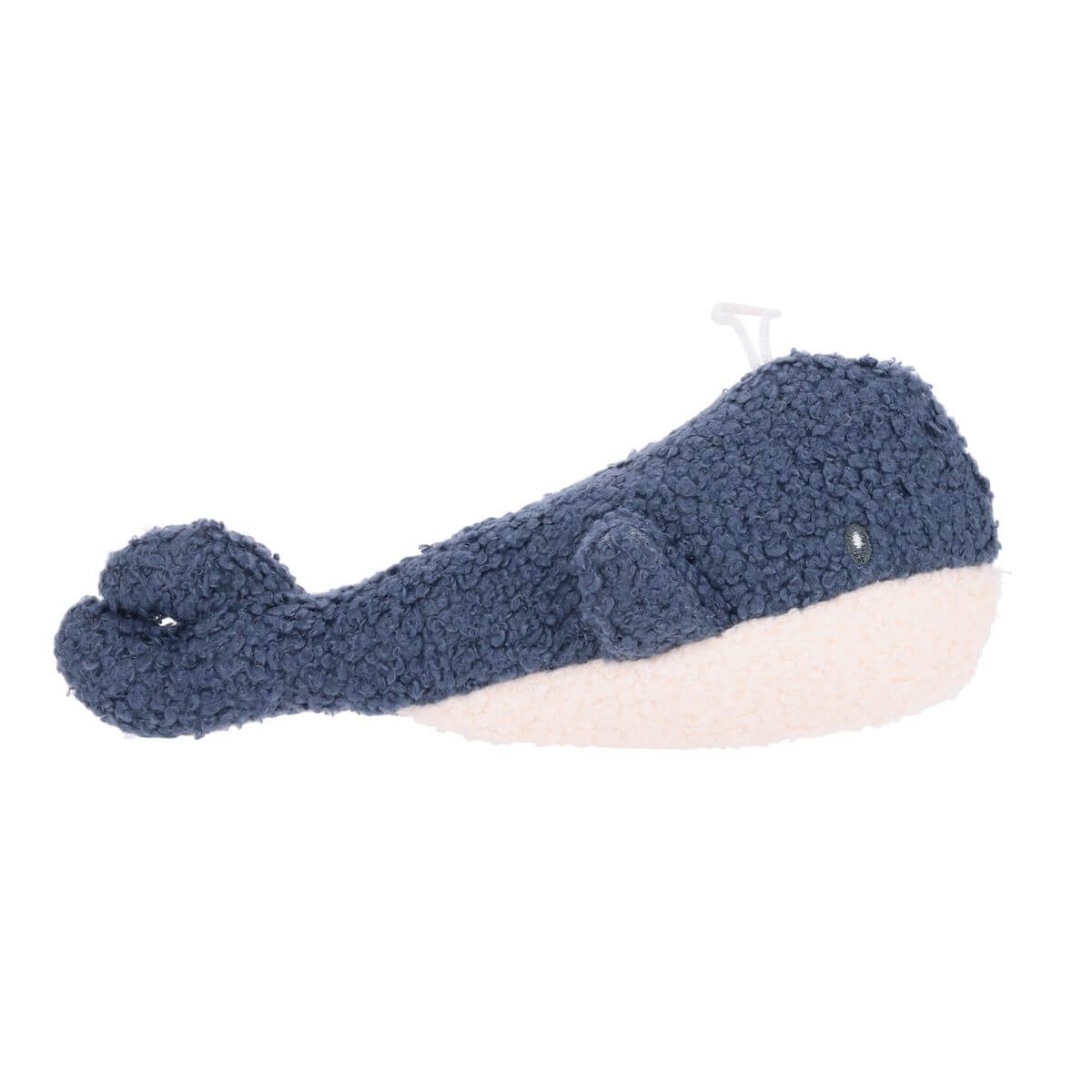 Chomper Whale