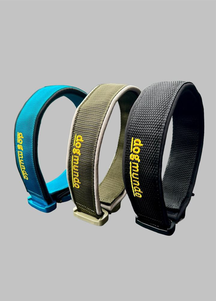 Sporthalsband