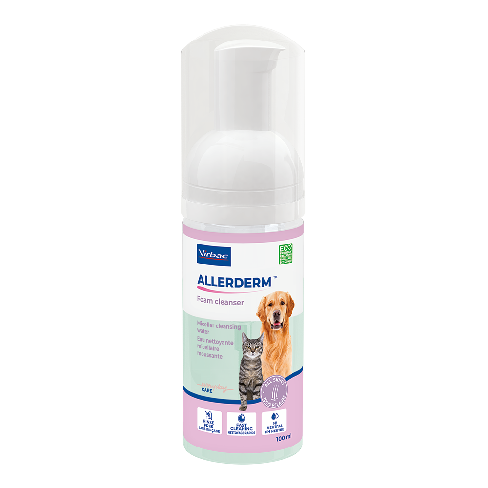Allerderm Foam Cleanser