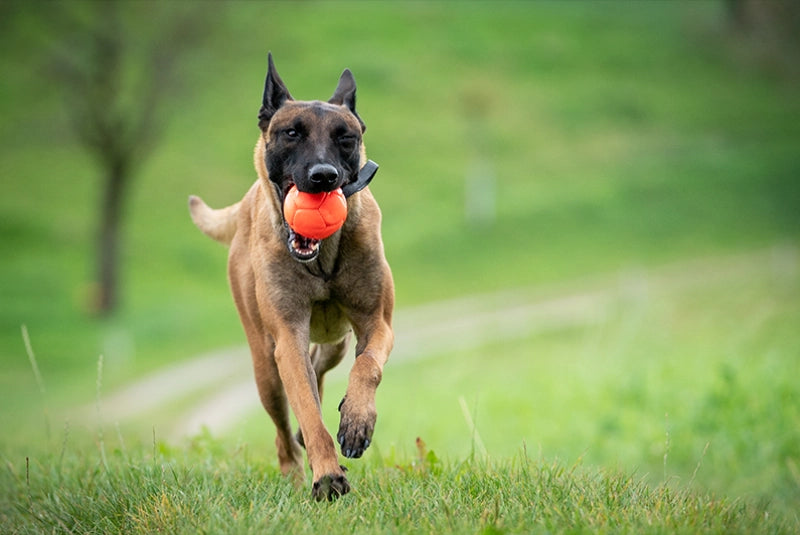 Eco Leder Trainings-Ball