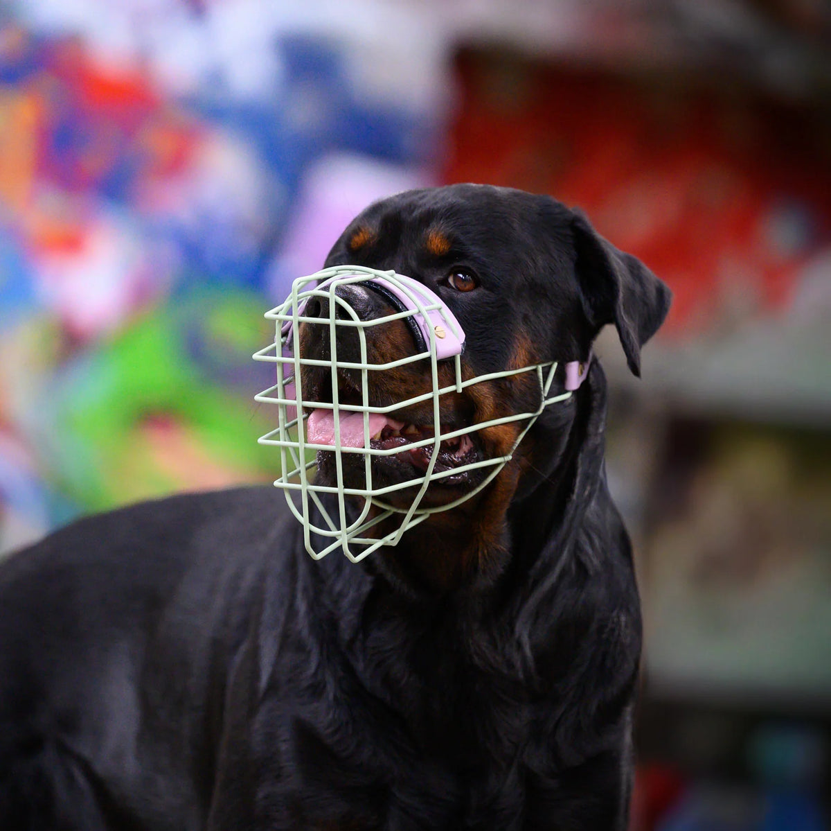 MF Maulkorb Rotti