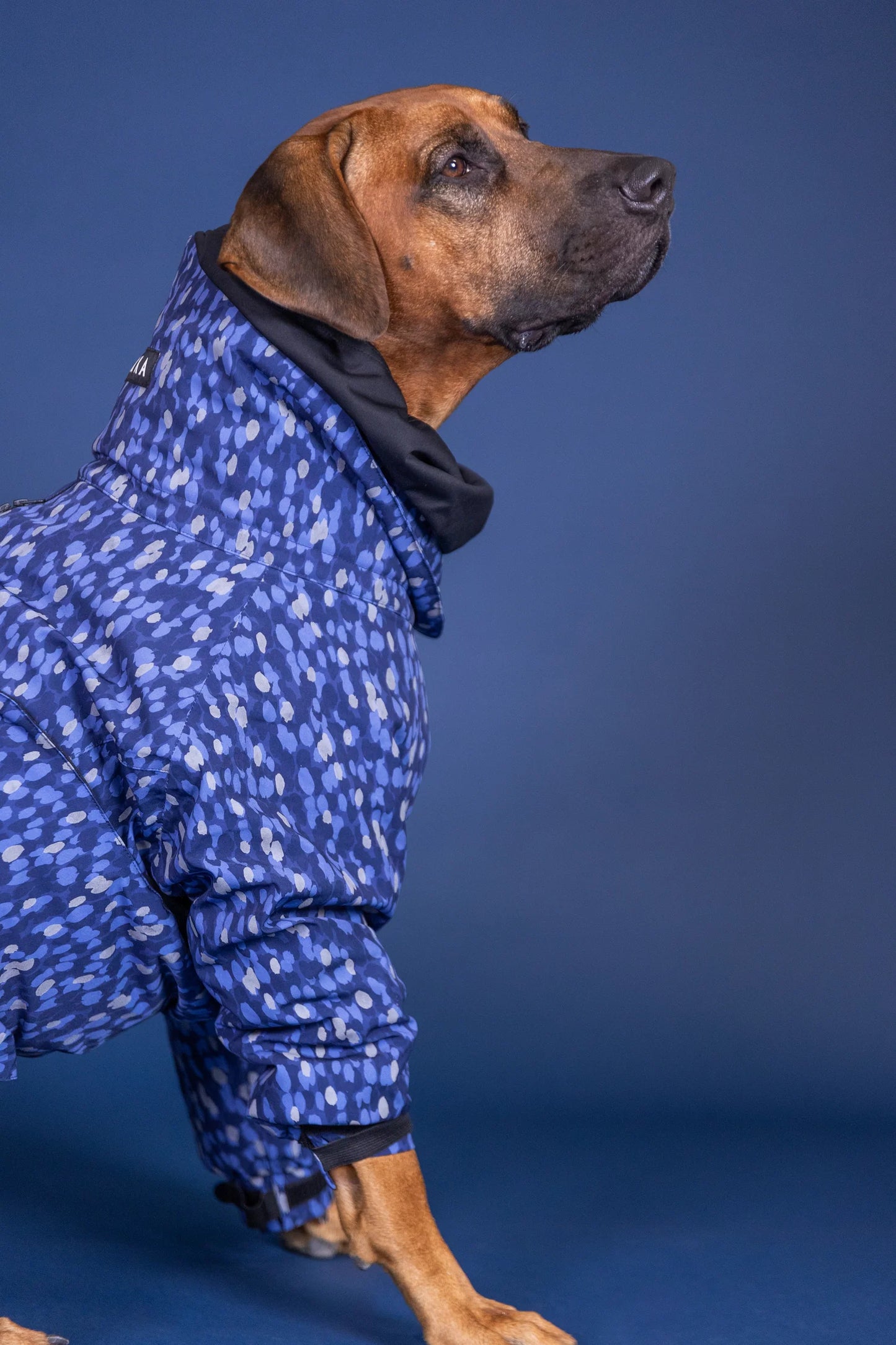 PAIKKA Winter Suit blue