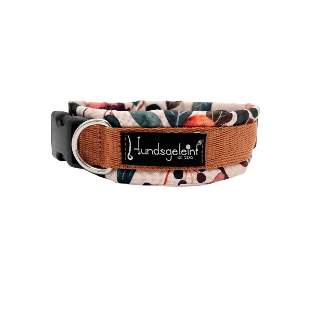 Halsband kupfer mit Schnalle