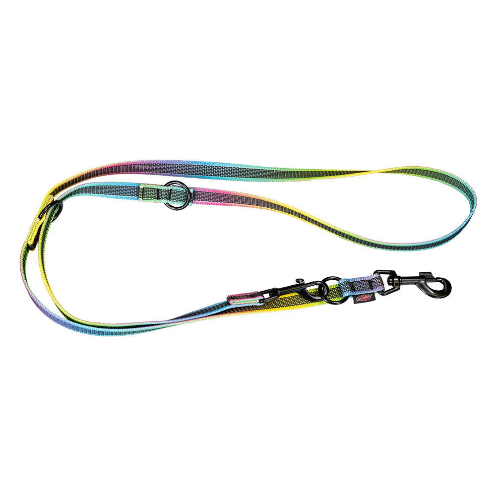 Führleine ABS Mediumflex Aurora Edition