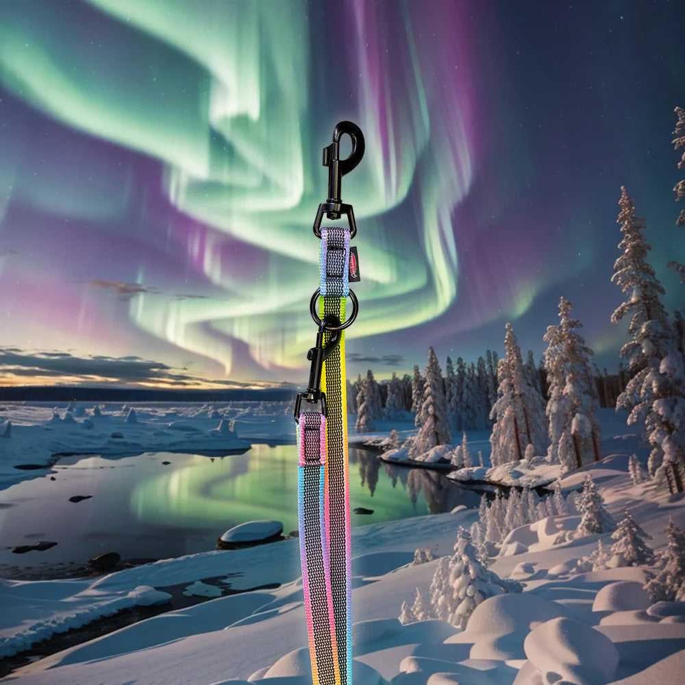 Führleine ABS Mediumflex Aurora Edition