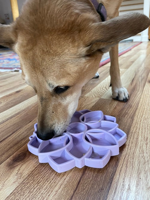 Mandala „Softie“ Anreicherungs- Tablett für Hunde