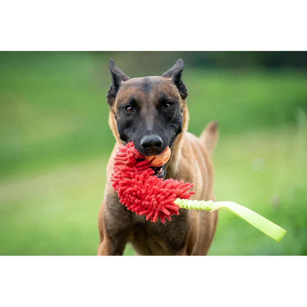 Mop Bungee Ball
