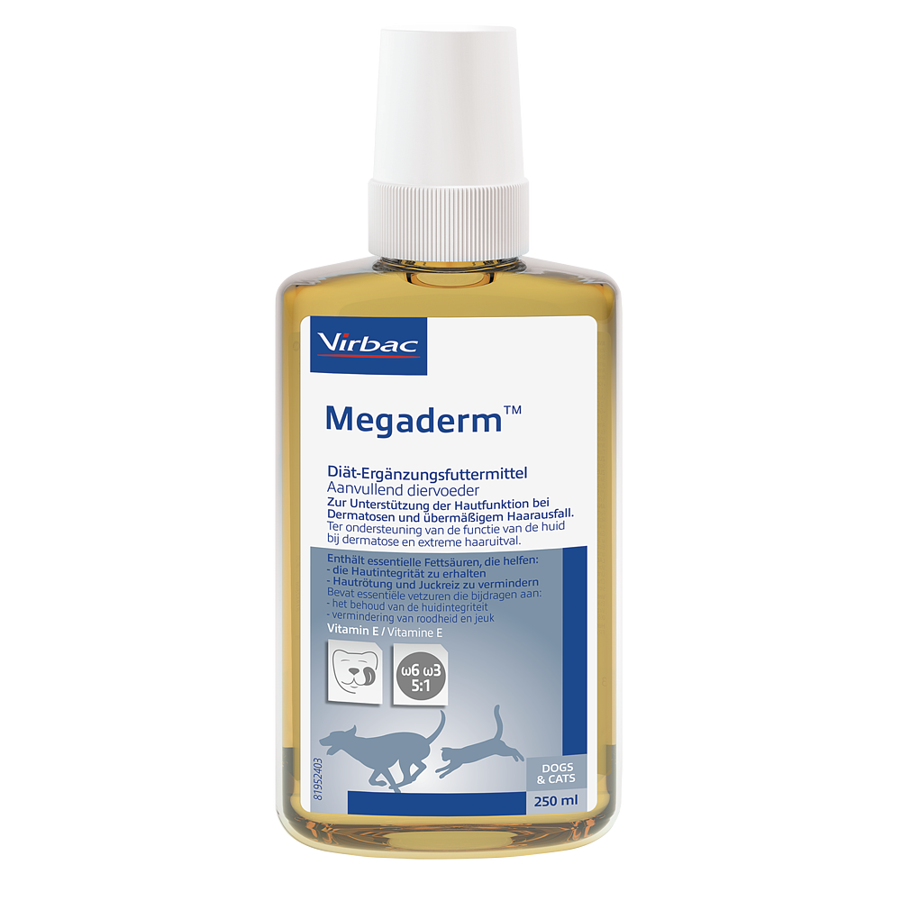 Megaderm