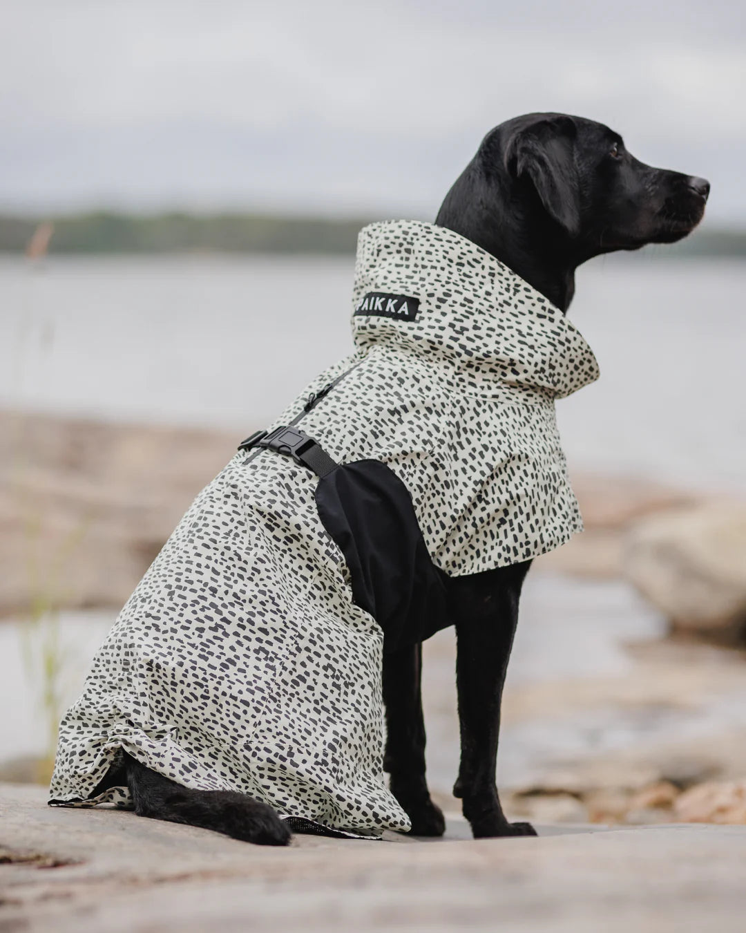 PAIKKA Raincoat 2.0