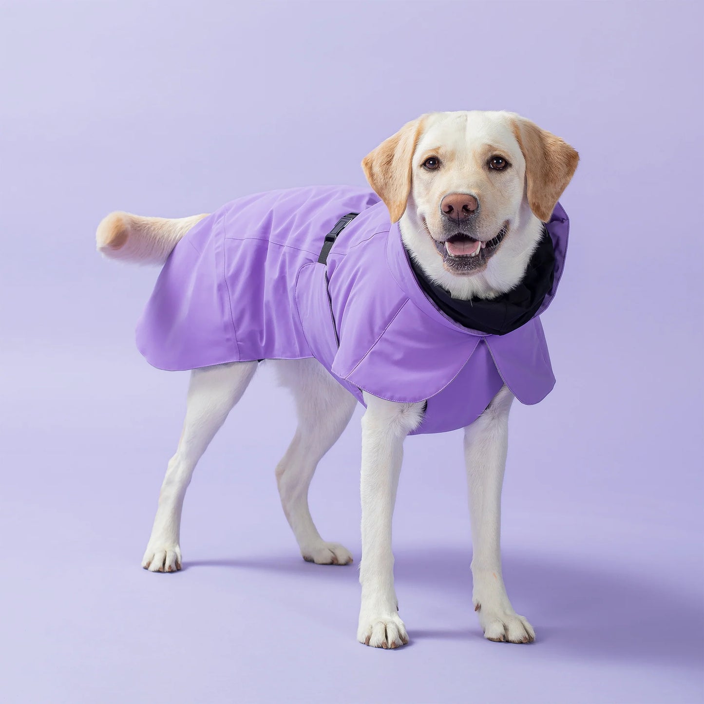 PAIKKA Visibility Winter Jacket