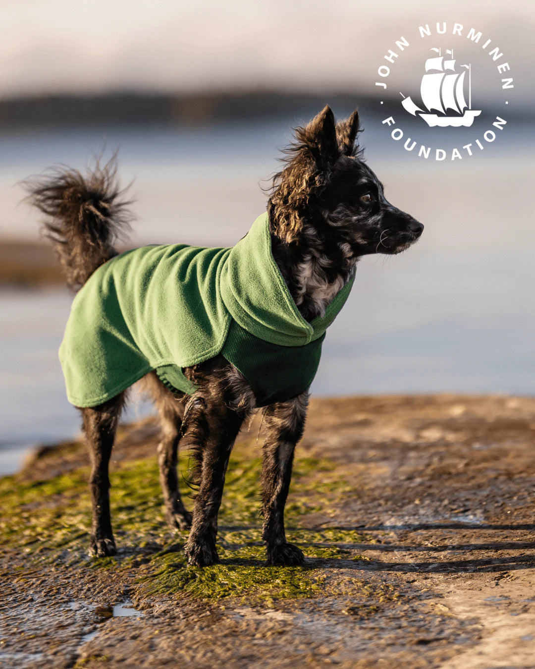 PAIKKA Seawool Shirt