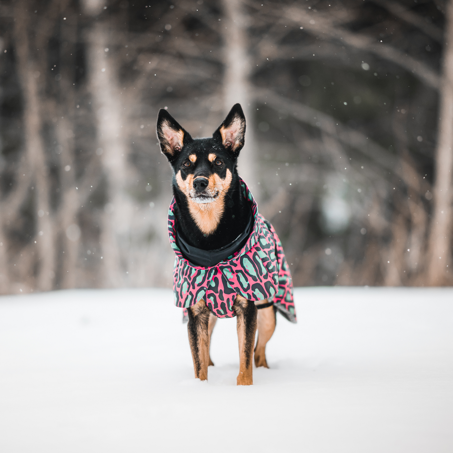 PAIKKA Visibility Winter Jacket