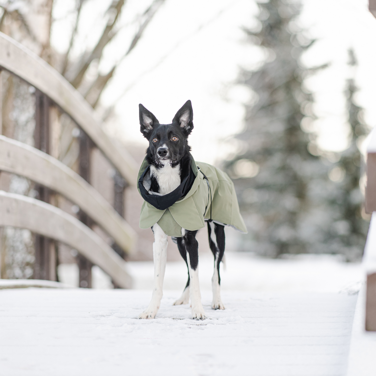 PAIKKA Visibility Winter Jacket
