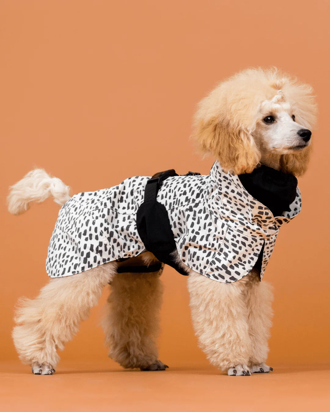 PAIKKA Raincoat 2.0