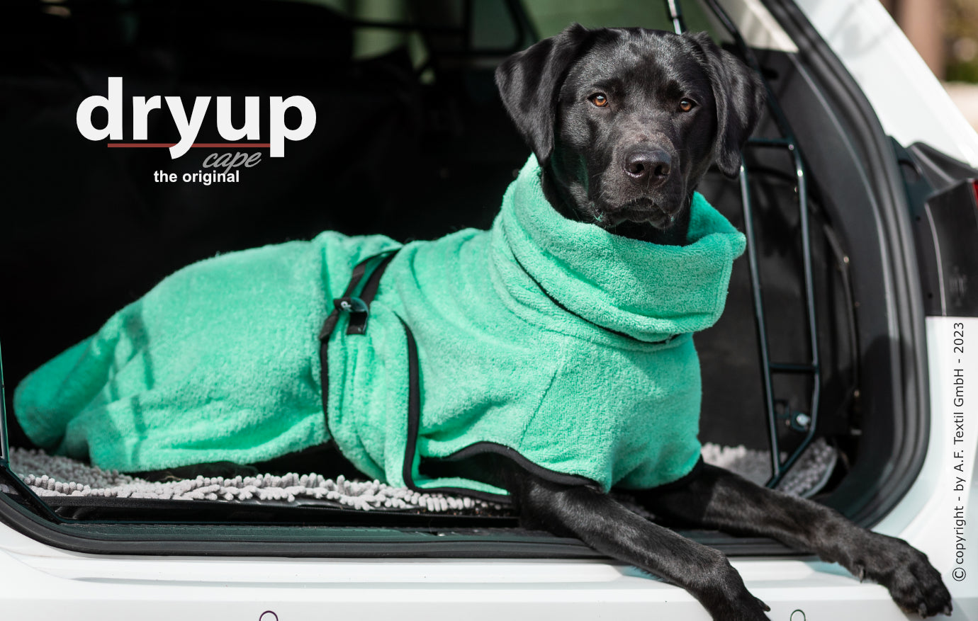 Dryup Cape