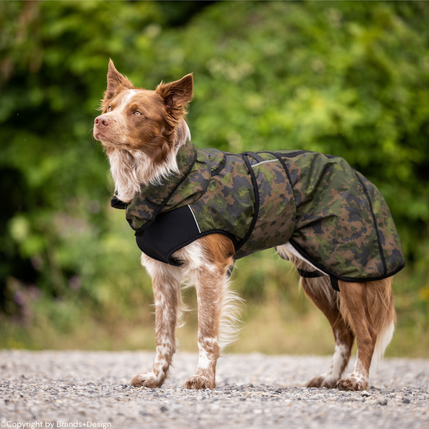 Activ Cape Elastic light
