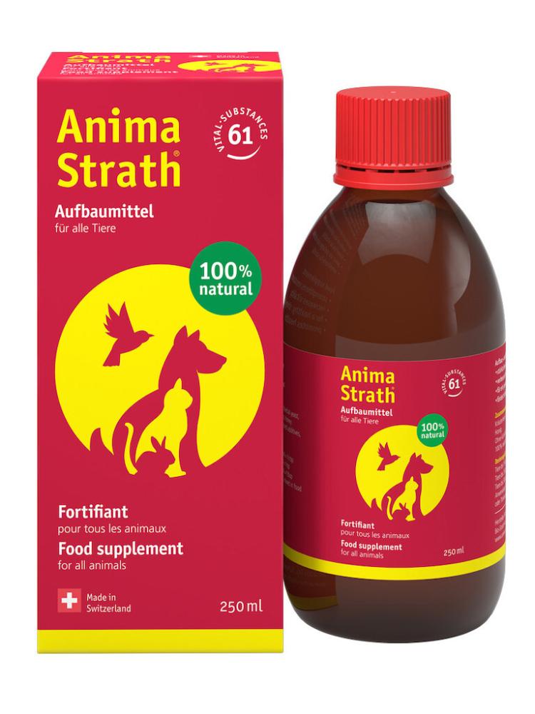 Anima Strath