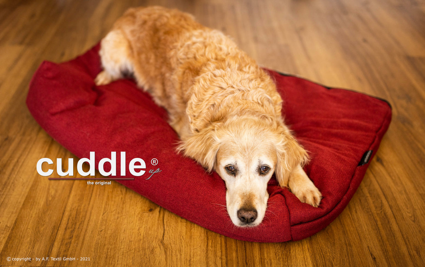 Cuddle Up®