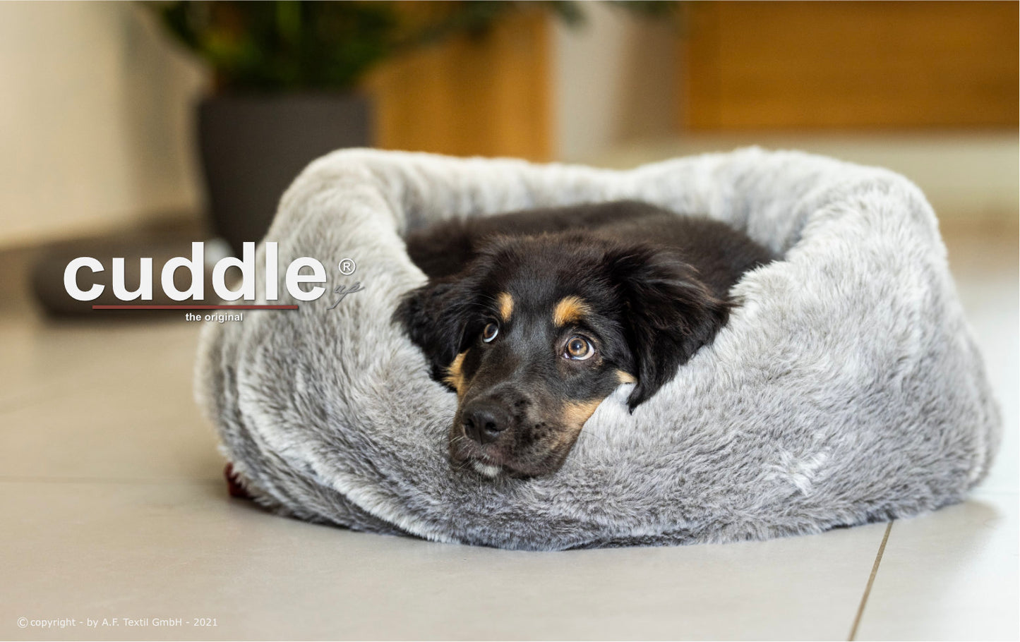 Cuddle Up®