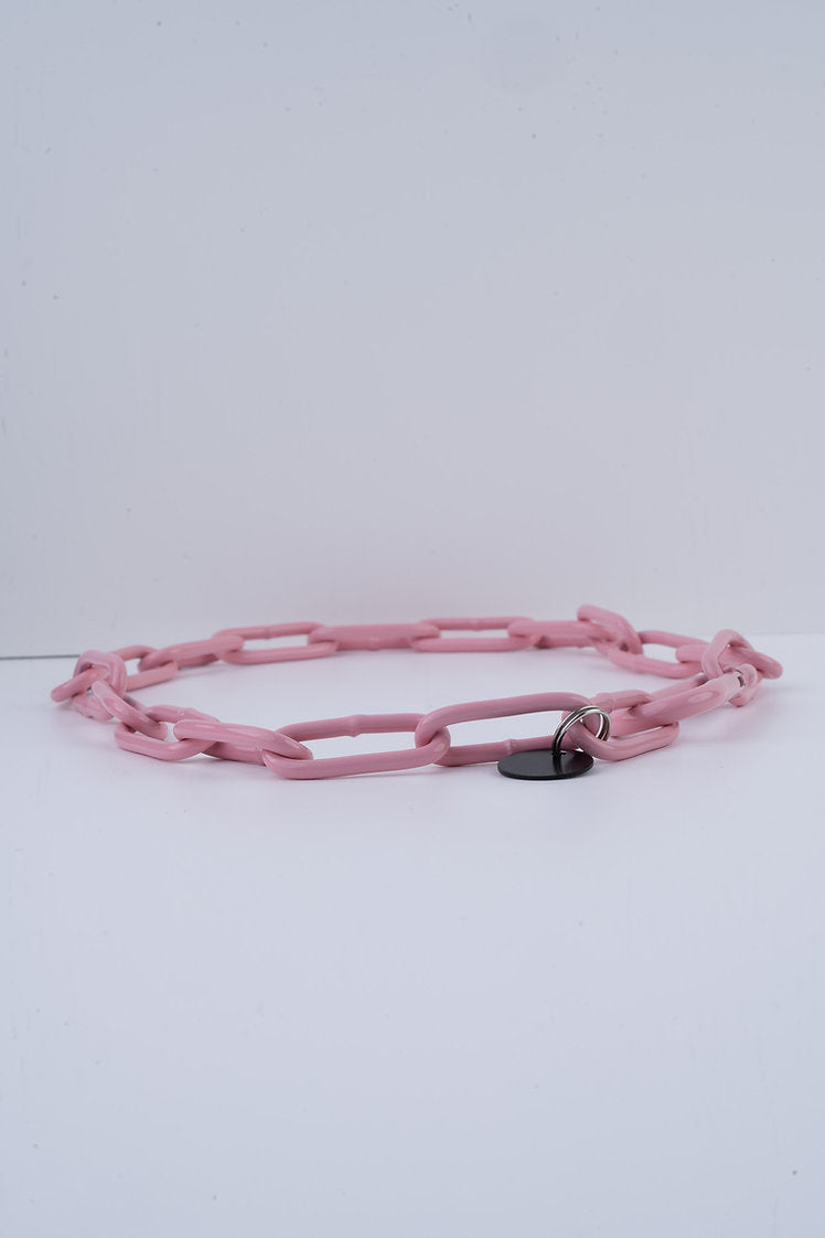 Karabinerkette für Hunde - Langgliedriges Kettenhalsband