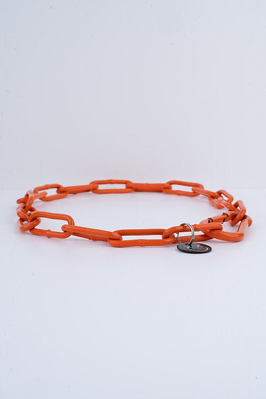 Karabinerkette für Hunde - Langgliedriges Kettenhalsband