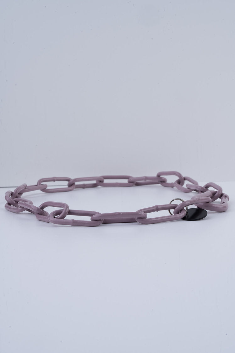 Karabinerkette für Hunde - Langgliedriges Kettenhalsband