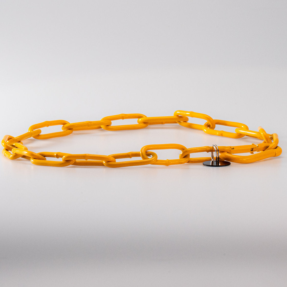 Karabinerkette für Hunde - Langgliedriges Kettenhalsband
