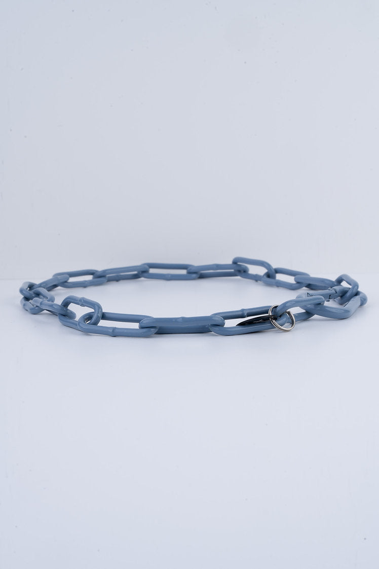Karabinerkette für Hunde - Langgliedriges Kettenhalsband