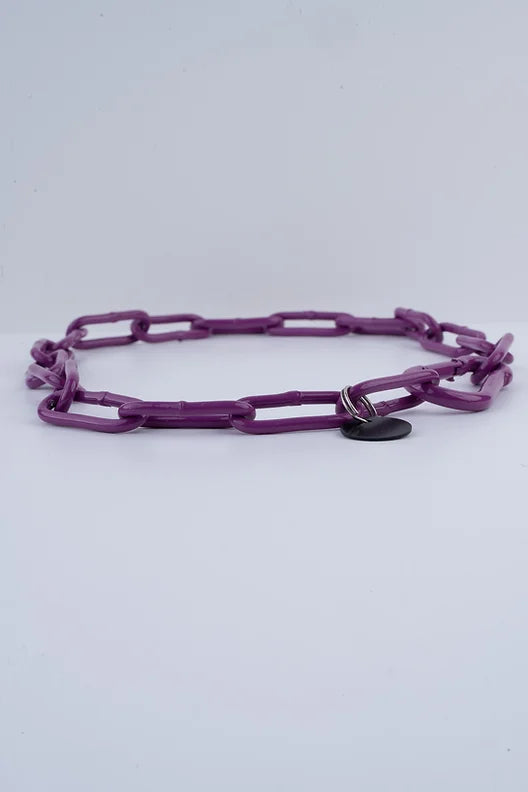 Karabinerkette für Hunde - Langgliedriges Kettenhalsband
