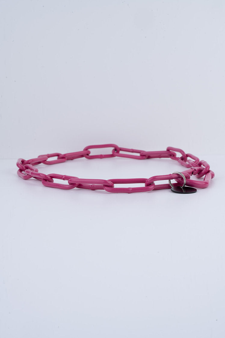 Karabinerkette für Hunde - Langgliedriges Kettenhalsband