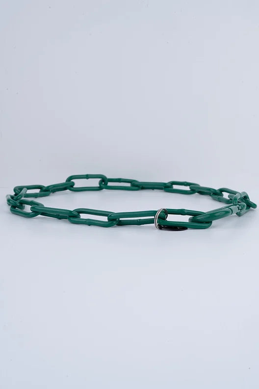 Karabinerkette für Hunde - Langgliedriges Kettenhalsband