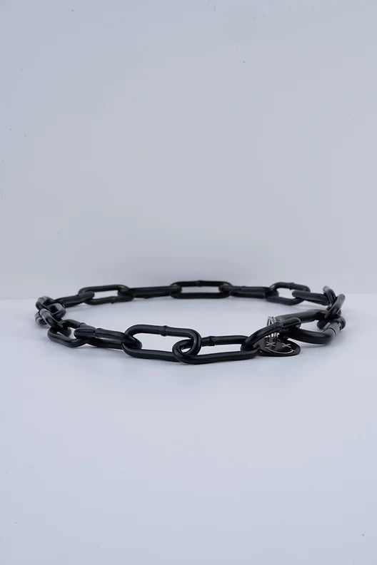 Karabinerkette für Hunde - Langgliedriges Kettenhalsband