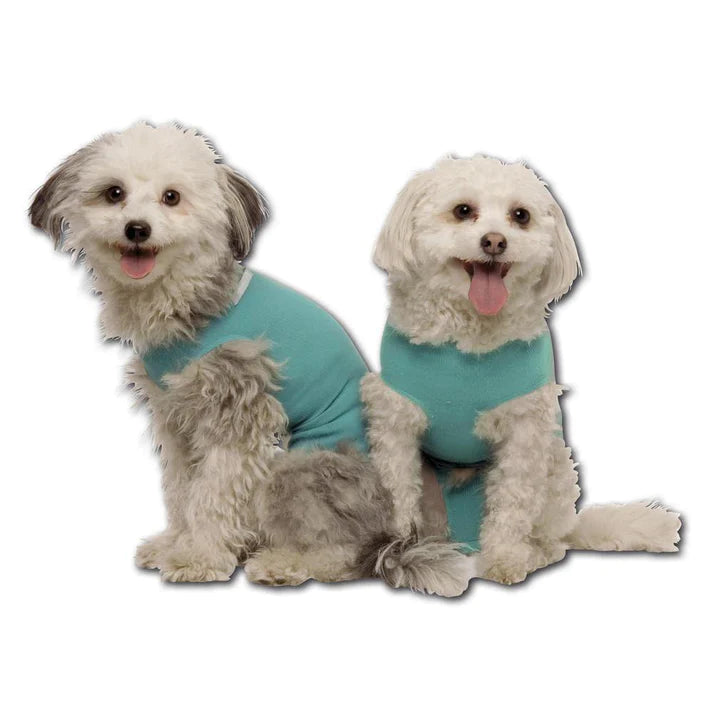 Dog Body