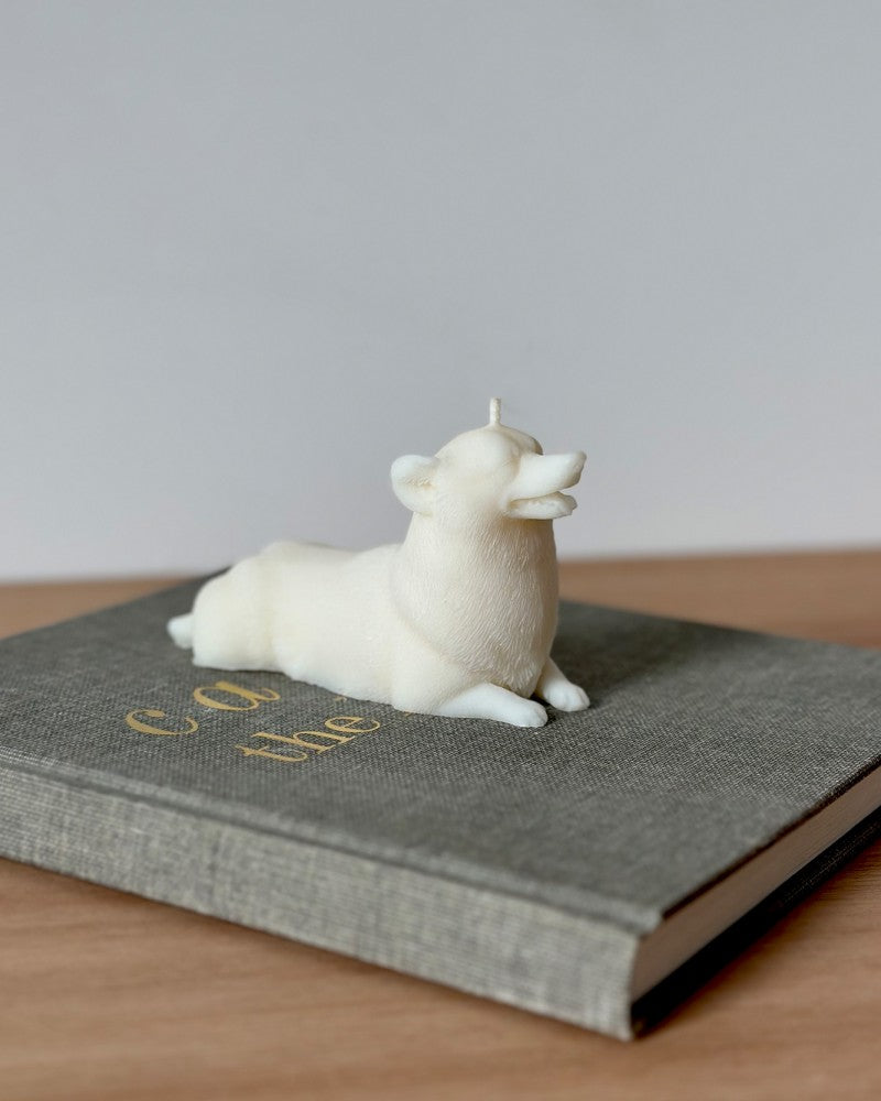 DOG Candle - Hundekerze Corgi