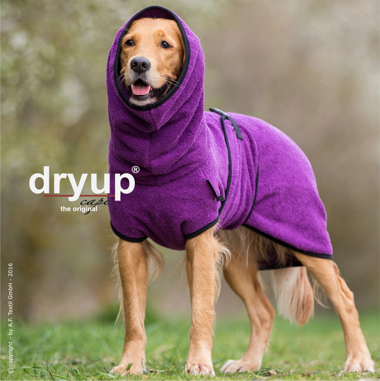 Dryup Cape