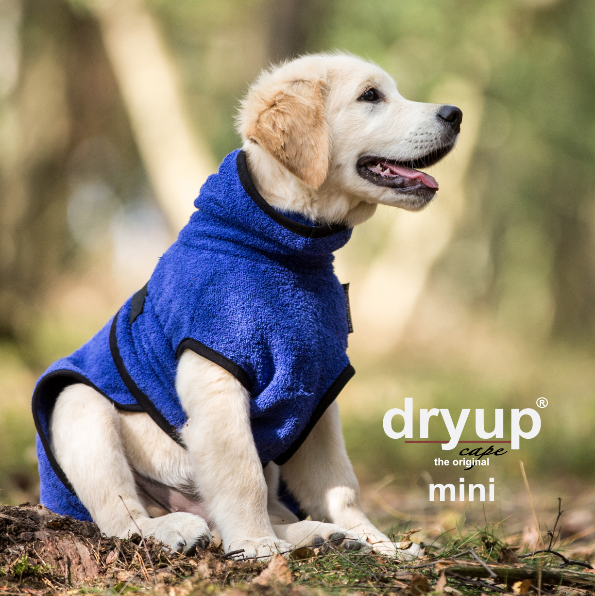 Dryup Cape