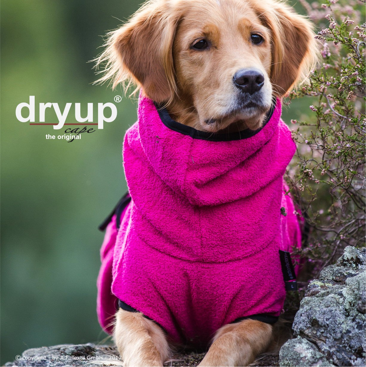 Dryup Cape