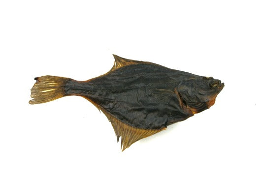 FISCH - Flunder