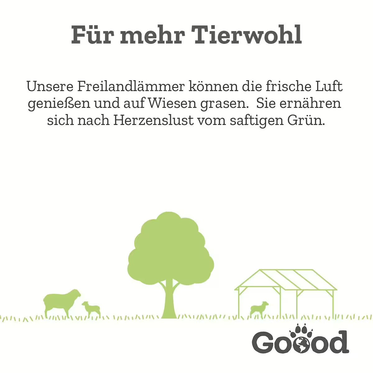 Soft Gooodies - Freiland-Lamm