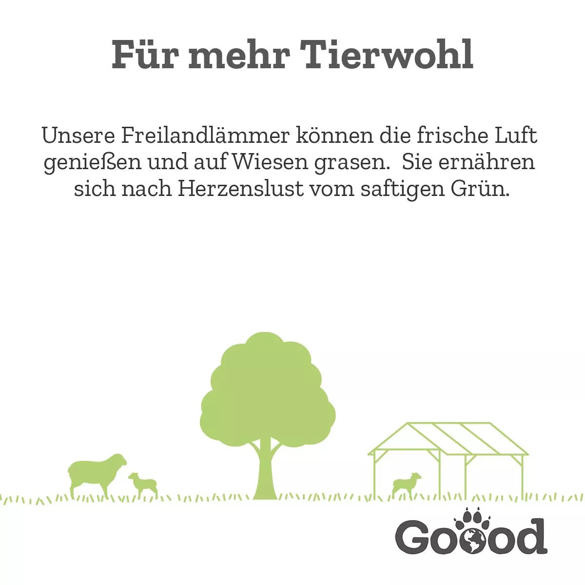 Goood Adult - Freiland-Lamm