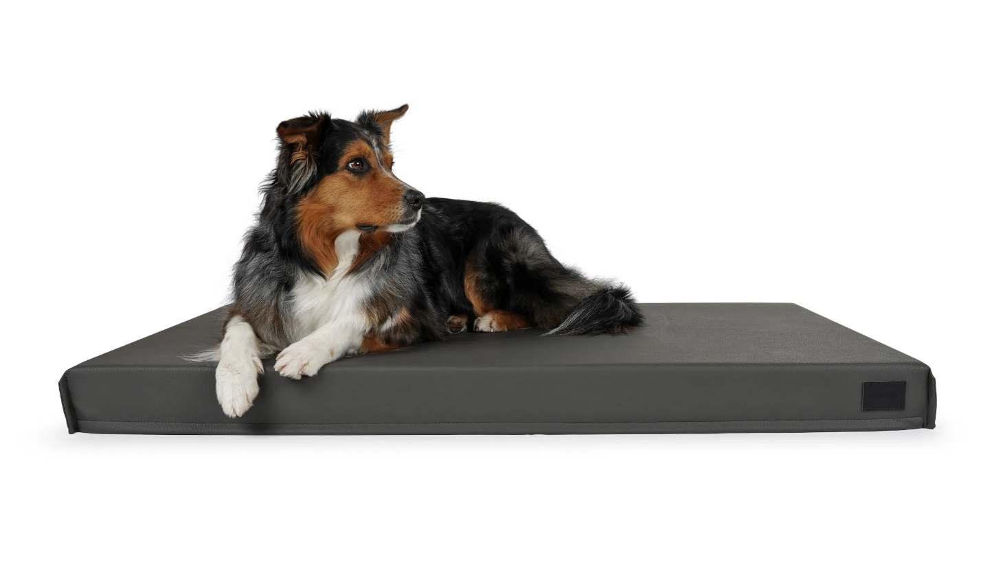 Hundematte Solana Premium