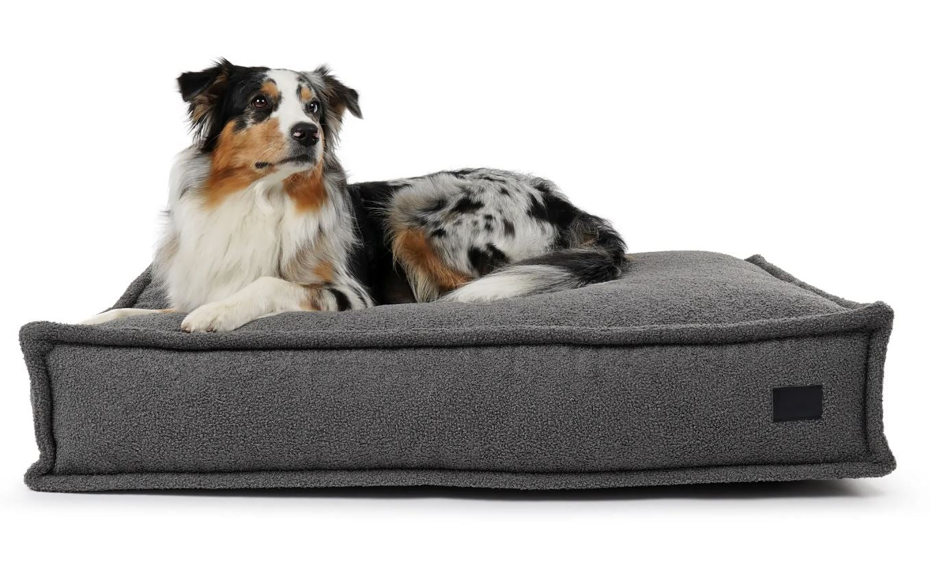 Hundekissen Flow Teddy