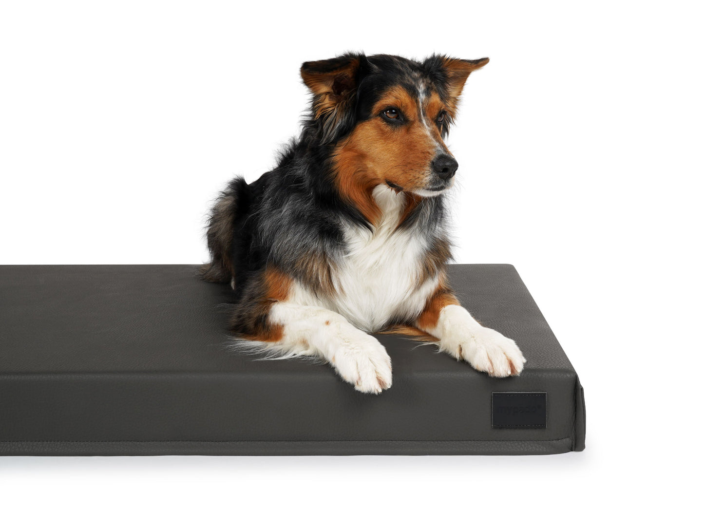 Hundematte Solana Premium