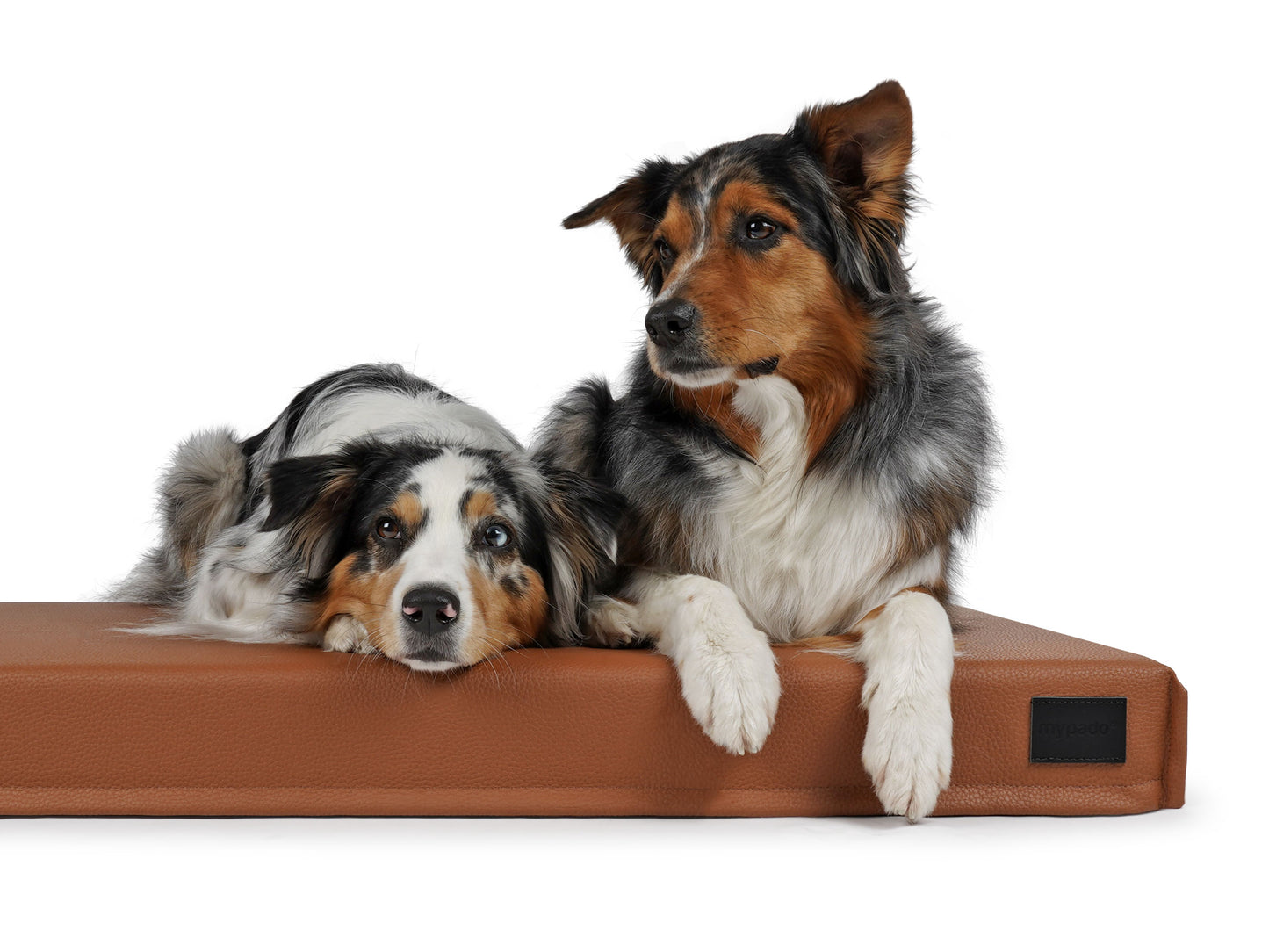 Hundematte Solana Premium